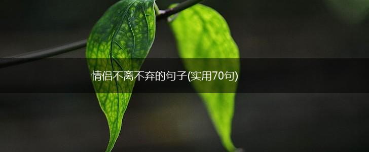 情侣不离不弃的句子(实用70句),第1张