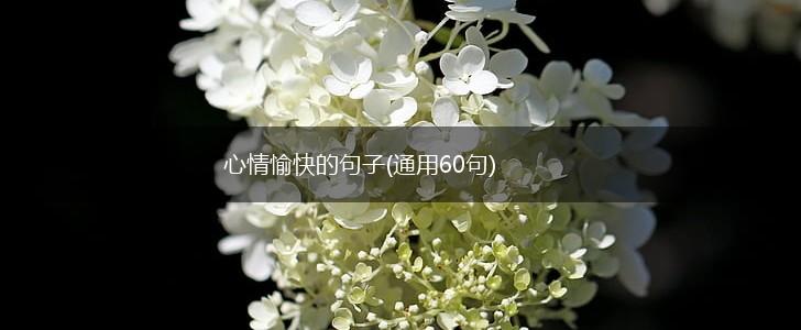 心情愉快的句子(通用60句),第1张