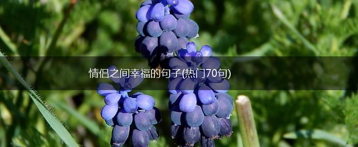 情侣之间幸福的句子(热门70句),第1张