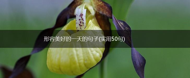 形容美好的一天的句子(实用50句),第1张