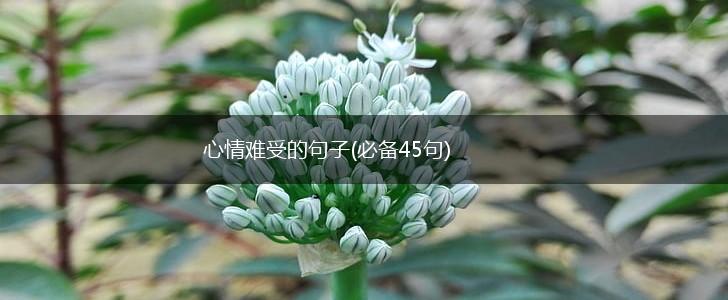 心情难受的句子(必备45句),第1张