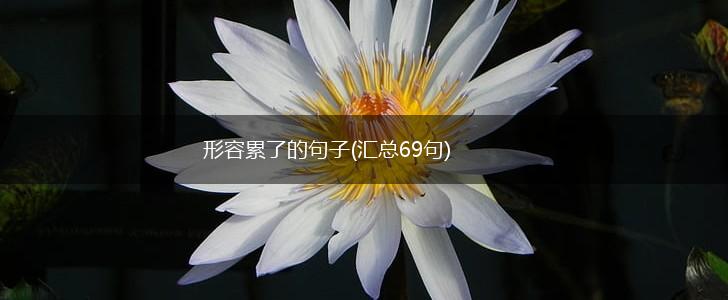 形容累了的句子(汇总69句),第1张