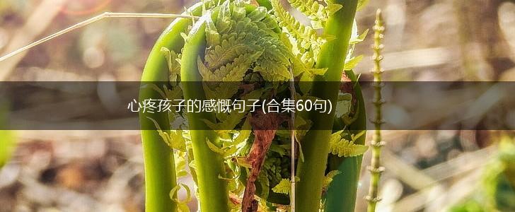 心疼孩子的感慨句子(合集60句),第1张