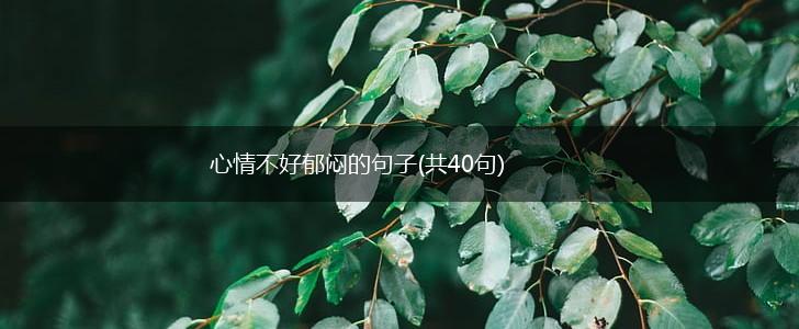 心情不好郁闷的句子(共40句),第1张