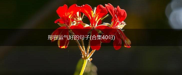 形容运气好的句子(合集40句),第1张