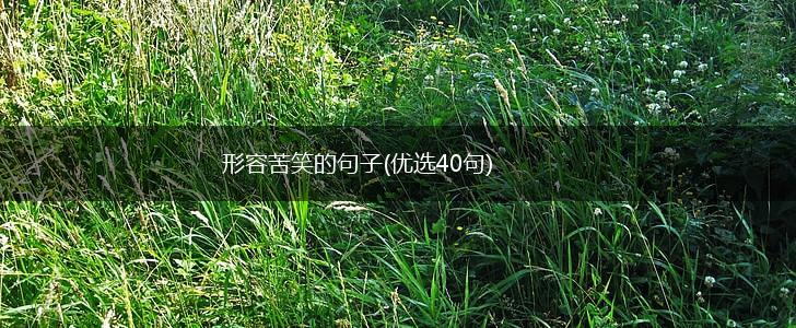 形容苦笑的句子(优选40句),第1张