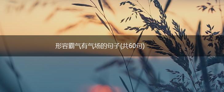 形容霸气有气场的句子(共60句),第1张