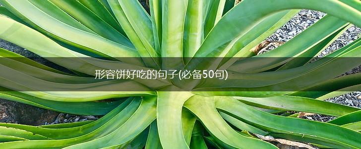 形容饼好吃的句子(必备50句),第1张
