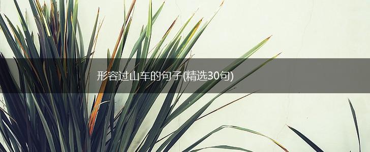 形容过山车的句子(精选30句),第1张