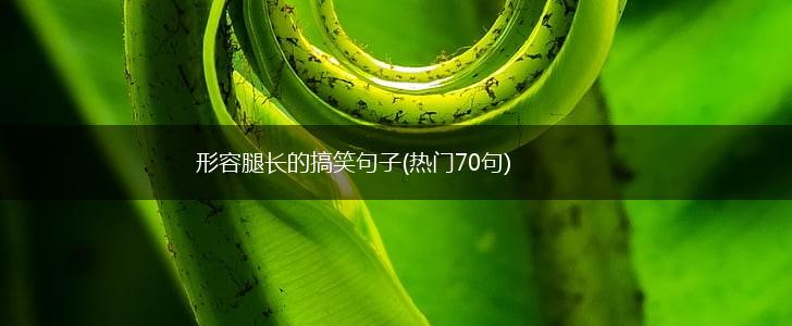 形容腿长的搞笑句子(热门70句),第1张