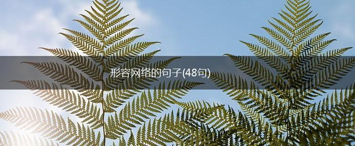 形容网络的句子(48句),第1张