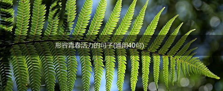 形容青春活力的句子(通用40句),第1张