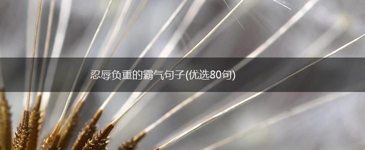 忍辱负重的霸气句子(优选80句),第1张