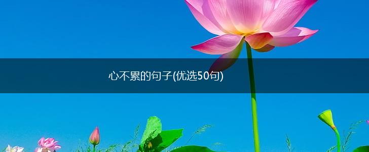 心不累的句子(优选50句),第1张