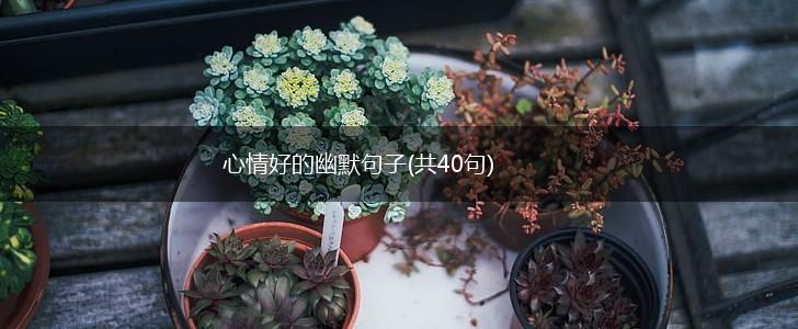 心情好的幽默句子(共40句),第1张
