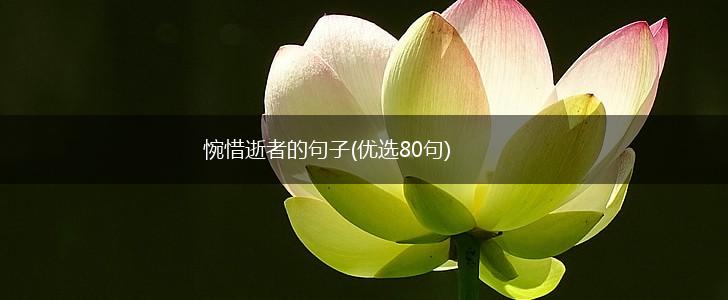 惋惜逝者的句子(优选80句),第1张