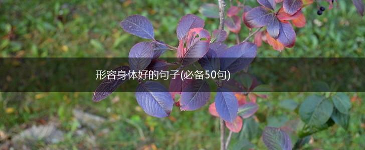 形容身体好的句子(必备50句),第1张