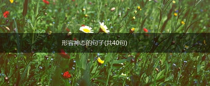 形容神态的句子(共40句),第1张