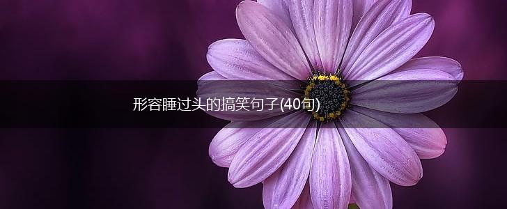 形容睡过头的搞笑句子(40句),第1张