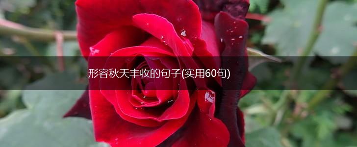 形容秋天丰收的句子(实用60句),第1张