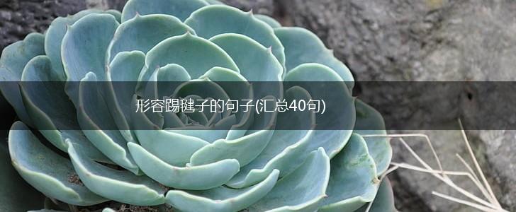 形容踢毽子的句子(汇总40句),第1张