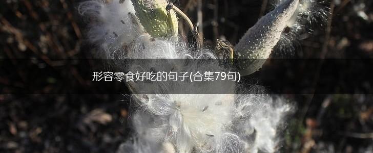 形容零食好吃的句子(合集79句),第1张