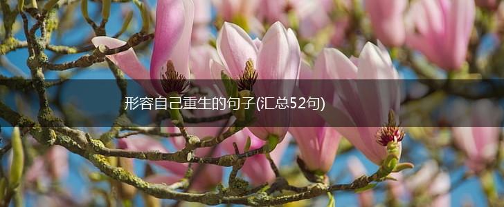 形容自己重生的句子(汇总52句),第1张