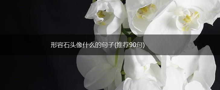 形容石头像什么的句子(推荐90句),第1张