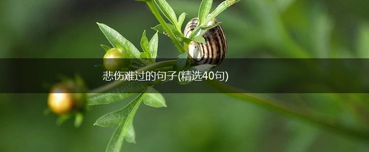 悲伤难过的句子(精选40句),第1张