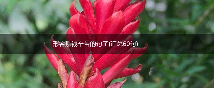 形容赚钱辛苦的句子(汇总60句),第1张