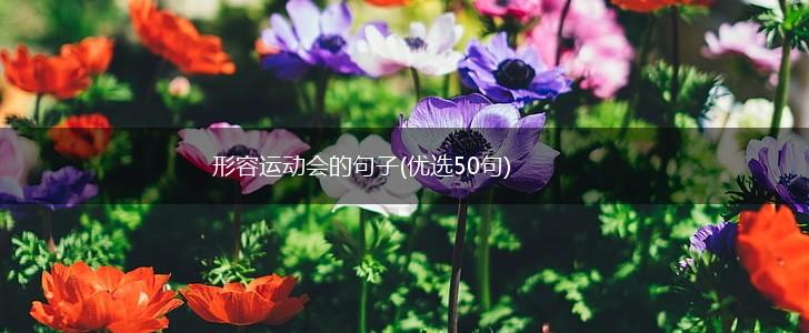 形容运动会的句子(优选50句),第1张