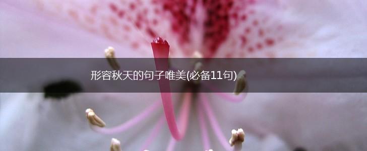 形容秋天的句子唯美(必备11句),第1张