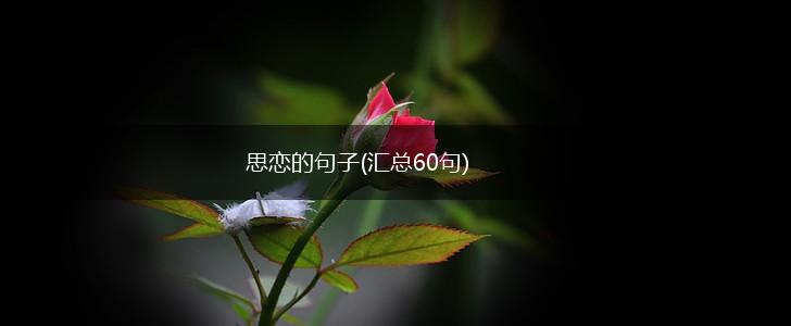 思恋的句子(汇总60句),第1张