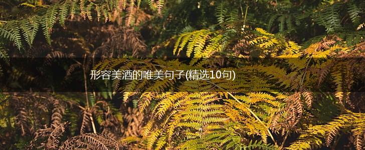 形容美酒的唯美句子(精选10句),第1张