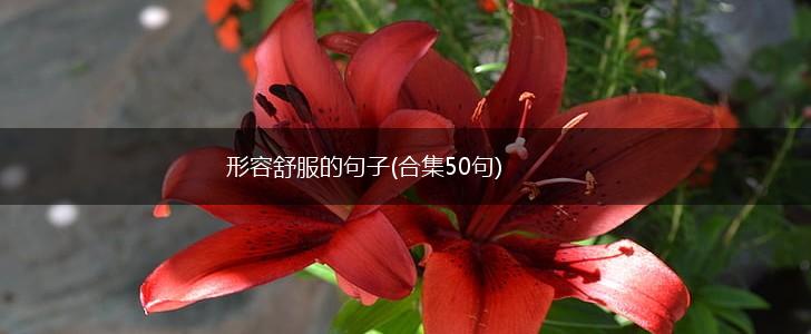 形容舒服的句子(合集50句),第1张
