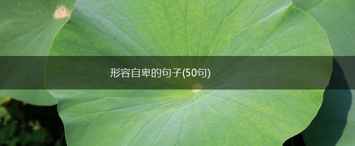 形容自卑的句子(50句),第1张