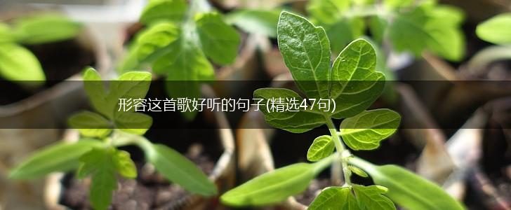 形容这首歌好听的句子(精选47句),第1张