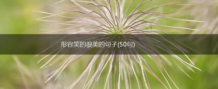 形容笑的很美的句子(50句),第1张