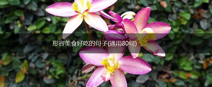 形容美食好吃的句子(通用80句),第1张