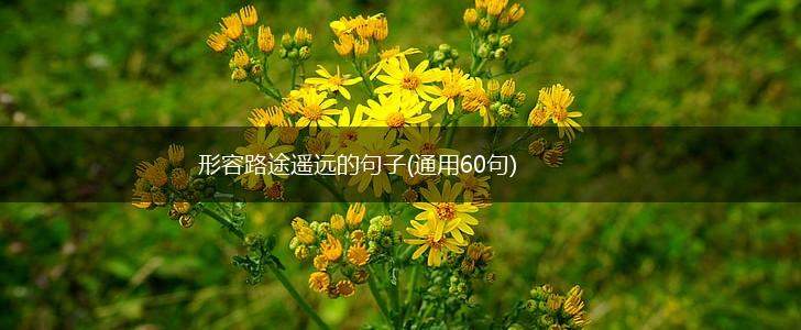 形容路途遥远的句子(通用60句),第1张