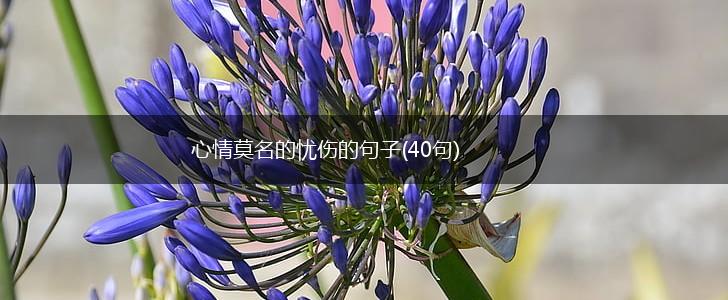 心情莫名的忧伤的句子(40句),第1张