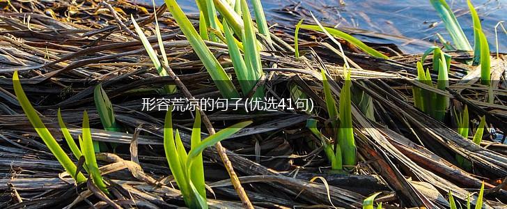 形容荒凉的句子(优选41句),第1张