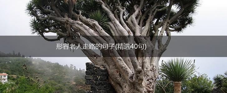 形容老人走路的句子(精选40句),第1张