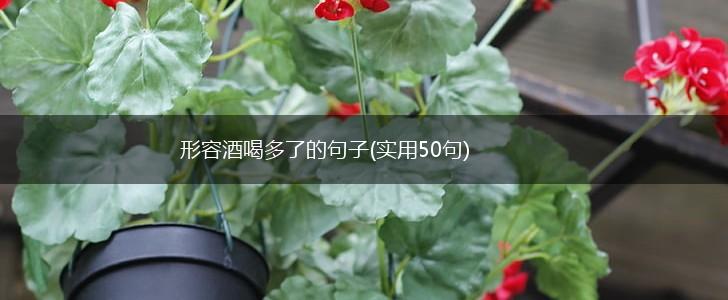 形容酒喝多了的句子(实用50句),第1张