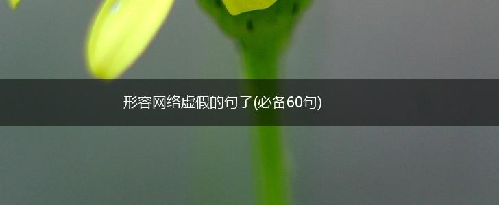 形容网络虚假的句子(必备60句),第1张