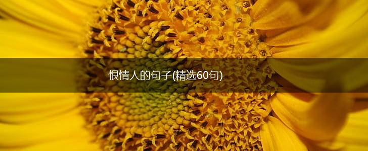 恨情人的句子(精选60句),第1张