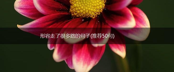 形容走了很多路的句子(推荐50句),第1张