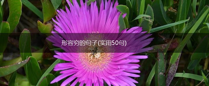形容穷的句子(实用50句),第1张
