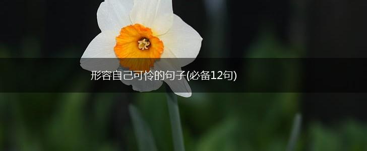 形容自己可怜的句子(必备12句),第1张