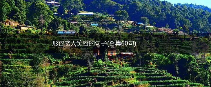 形容老人笑容的句子(合集60句),第1张